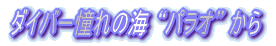 _Co[̊C gpIh